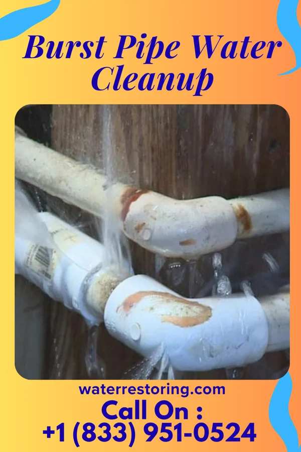 Burst Pipe Water Cleanup in Hilton, NY