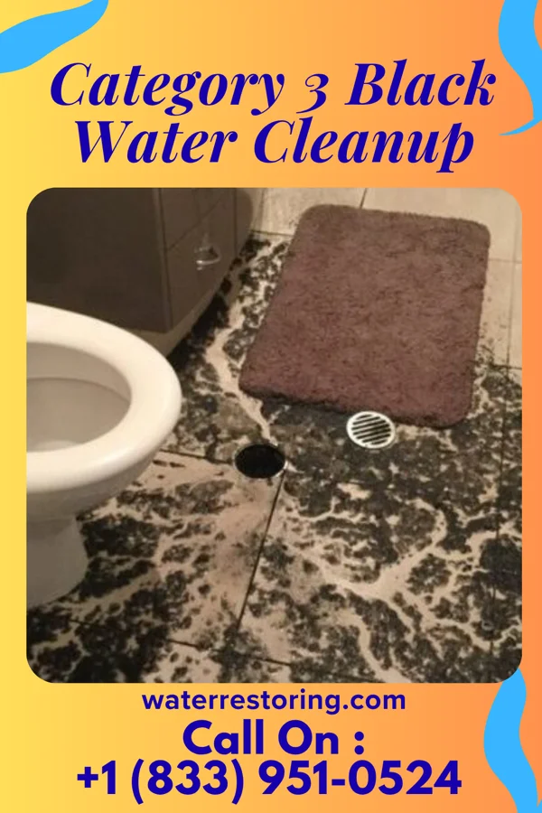 Category 3 Black Water Cleanup in Hilton, NY