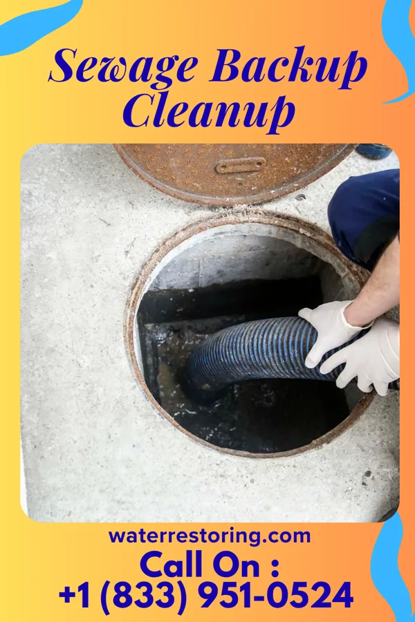 Sewage Backup Cleanup in Hilton, NY