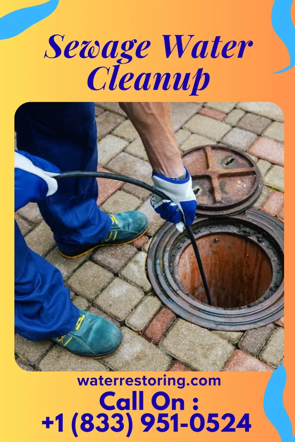 Sewage Water Cleanup in Hilton, NY