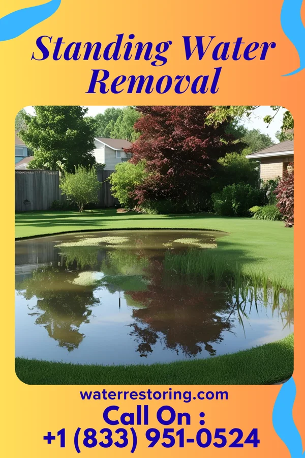 Standing Water Removal in Hilton, NY